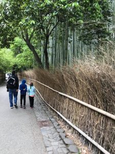 Kyoto With Kids