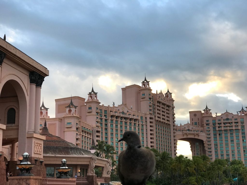 Atlantis, Paradise Island, The Bahamas