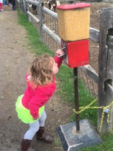 Best Hudson Valley Farms with Kids