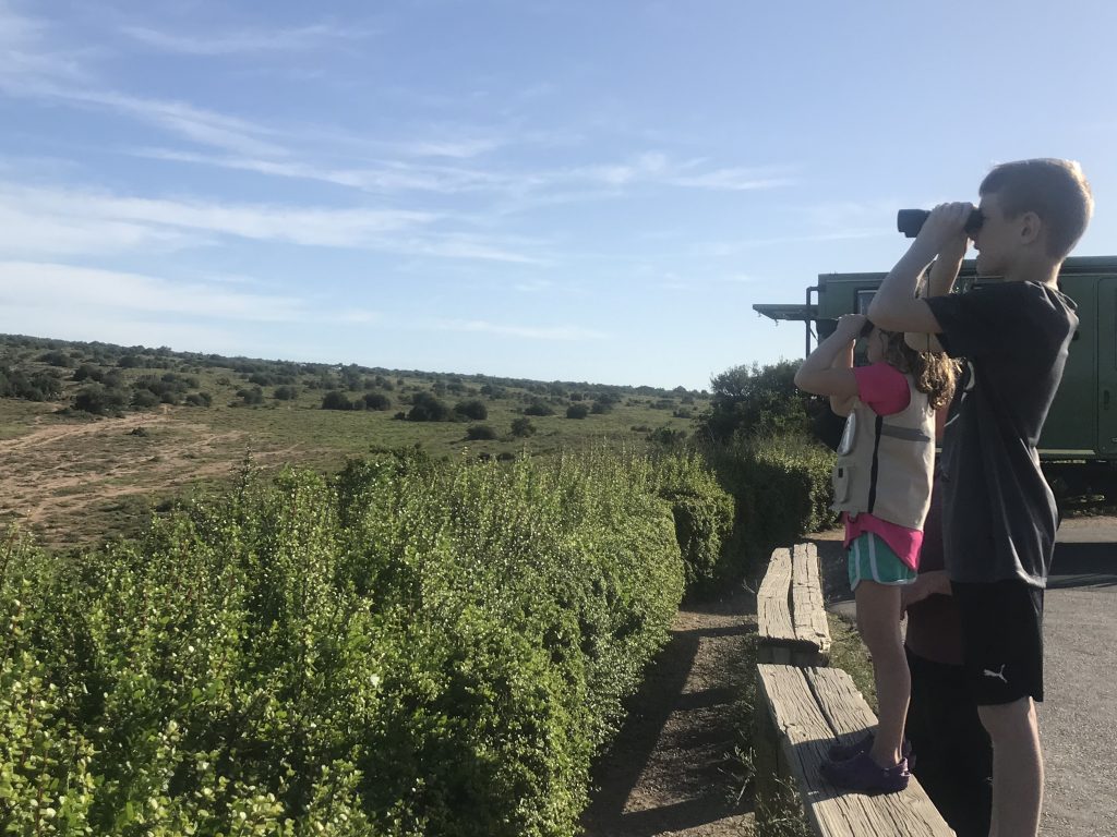 Addo Elephant National Park