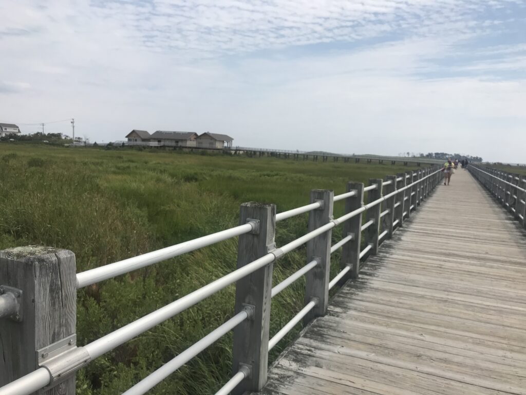 Silver Sands State Park 