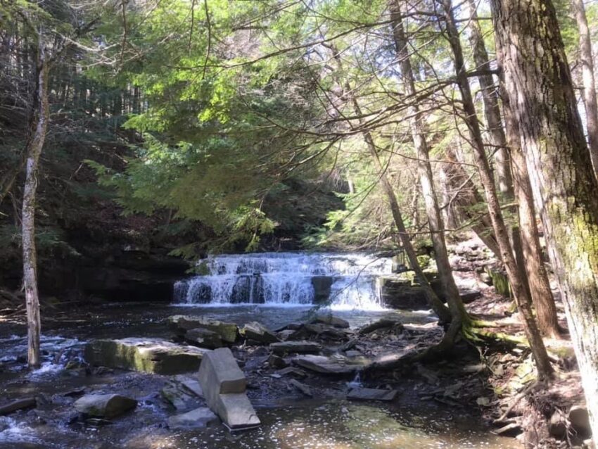 Christman Sanctuary Capital Region Waterfall Hikes with Kids