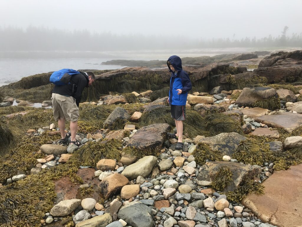 20 Things to do in Acadia National Park with Kids