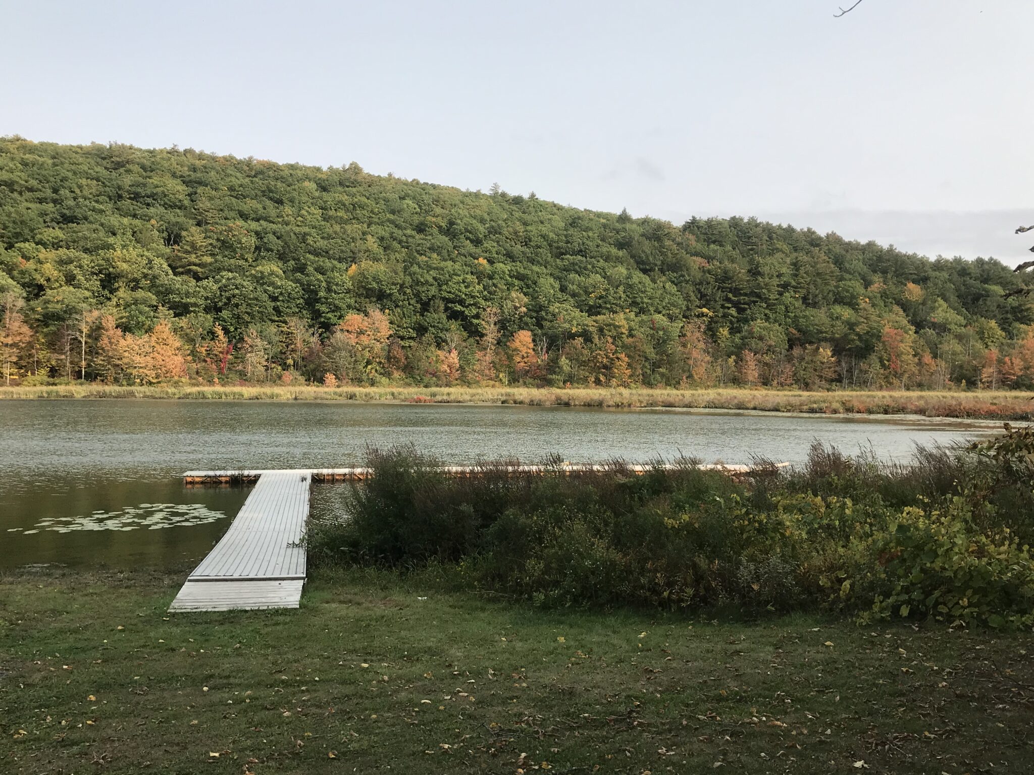 Lawson Lake County Park, NY is Full Day of Outdoor Fun Affordable