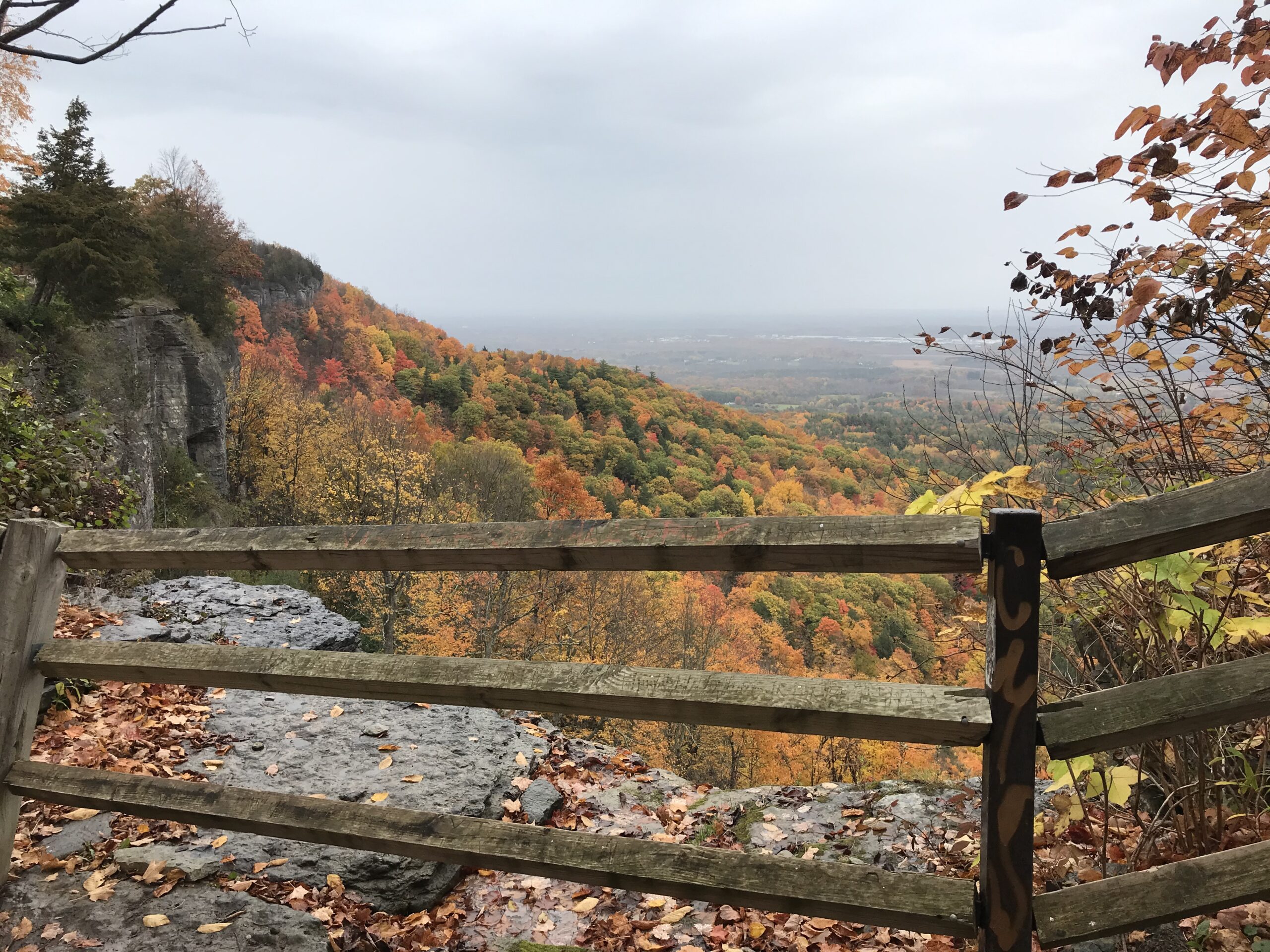 New York State Parks: John Boyd Thacher Park Review and Tips 