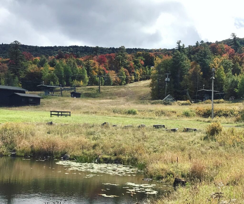 The Catskills