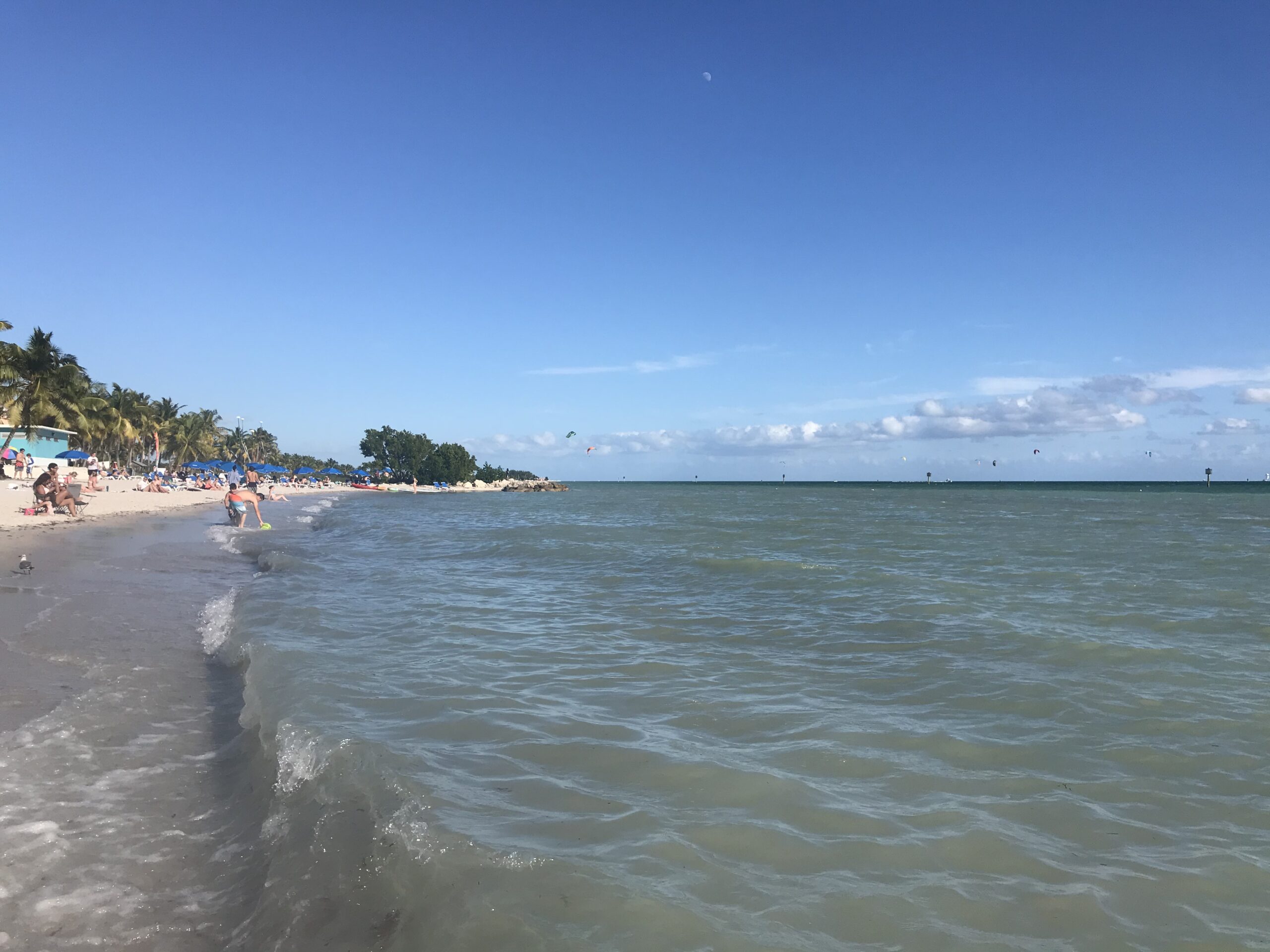 Budget Travel to Key West with Kids Affordable Family Travel