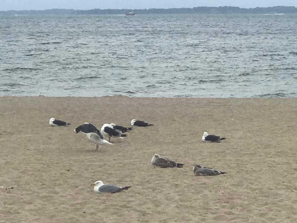 Things to Do at the Beach when it’s Too Cold to Swim