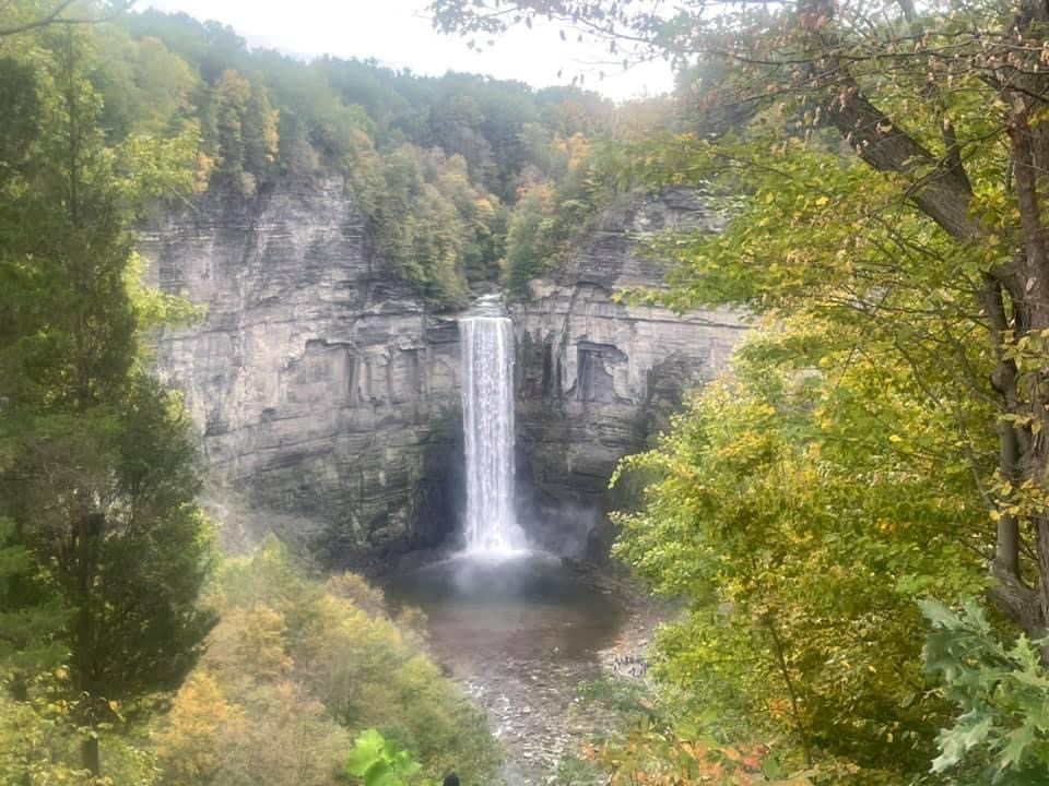 New York State Parks in the Finger Lakes
