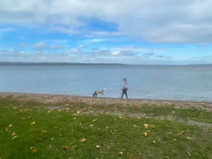 New York State Parks in the Finger Lakes