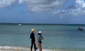 Aruba Hotel Comparison: Hyatt Regency vs Hilton Aruba