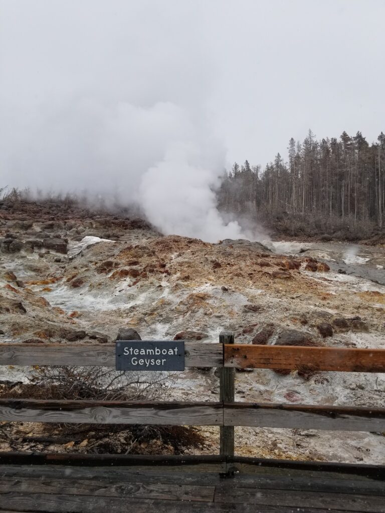 20 Things to do In Yellowstone National Park with Kids
