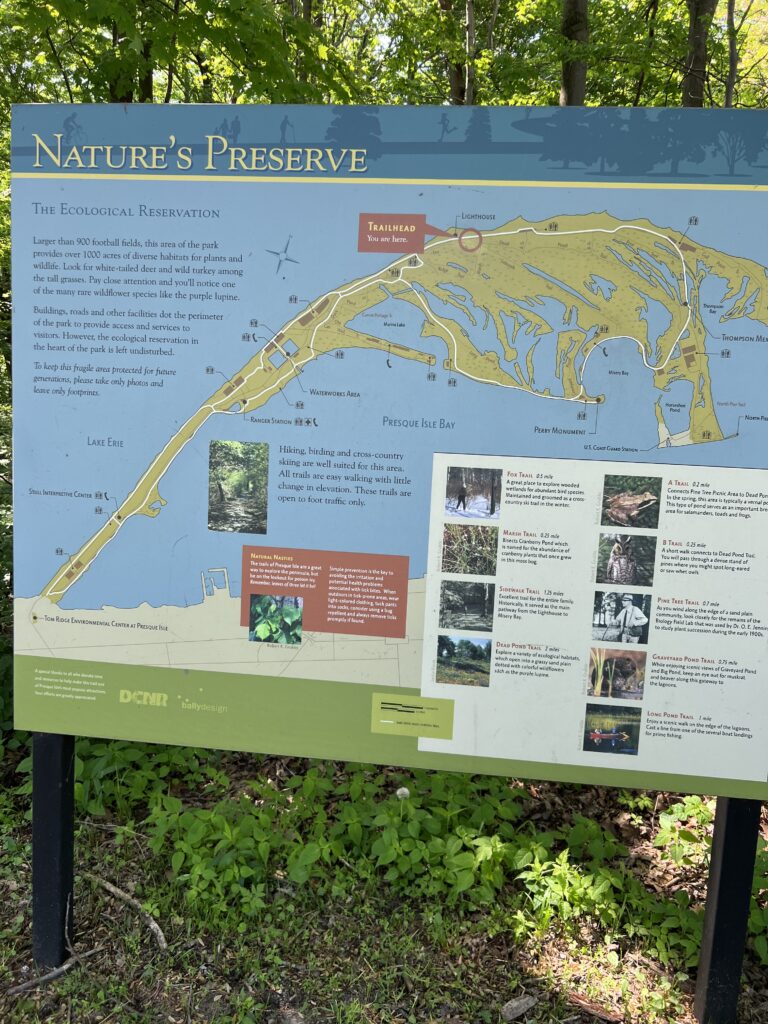 Presque Isle State Park with Kids and Dogs
