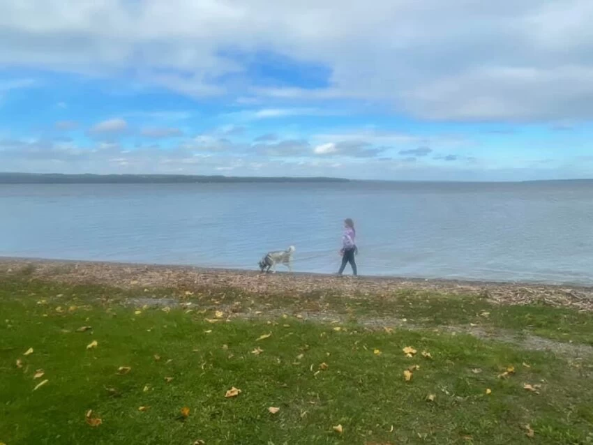 Day Trip from Albany with Kids to Lodi Point State Park, Finger lakes Region