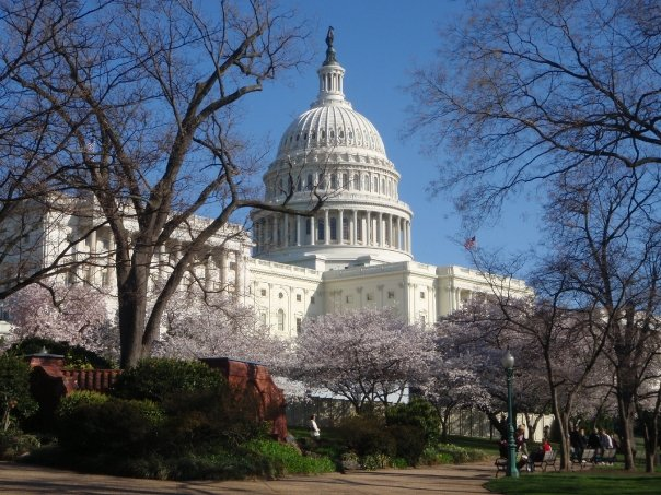  Budget Washington DC with Kids Itinerary