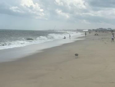 Day Trip from Albany with Kids to Point Pleasant Beach, NJ